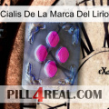 Lily Brand Cialis 02